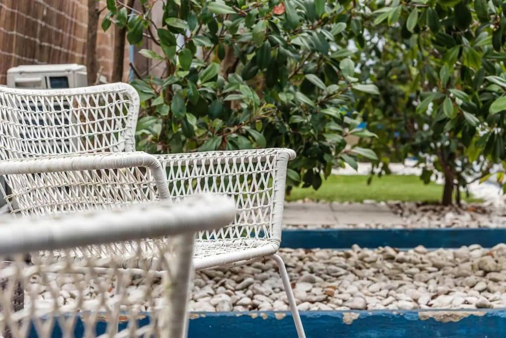 Inlapa Studio IV Porto Garden View ภายนอก รูปภาพ